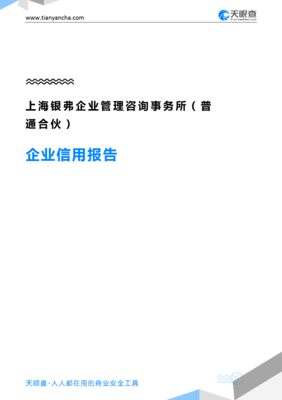 上海银弗企业管理咨询事务所企业信用报告深度解读——从天眼查数据看企业咨询机构的合规与发展